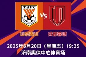 2025中国足协杯第四轮山东泰山队主场赛事票务公告