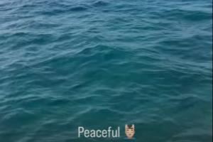 心如止水@哈兰德😎格拉利什晒海边度假照，配文：peaceful